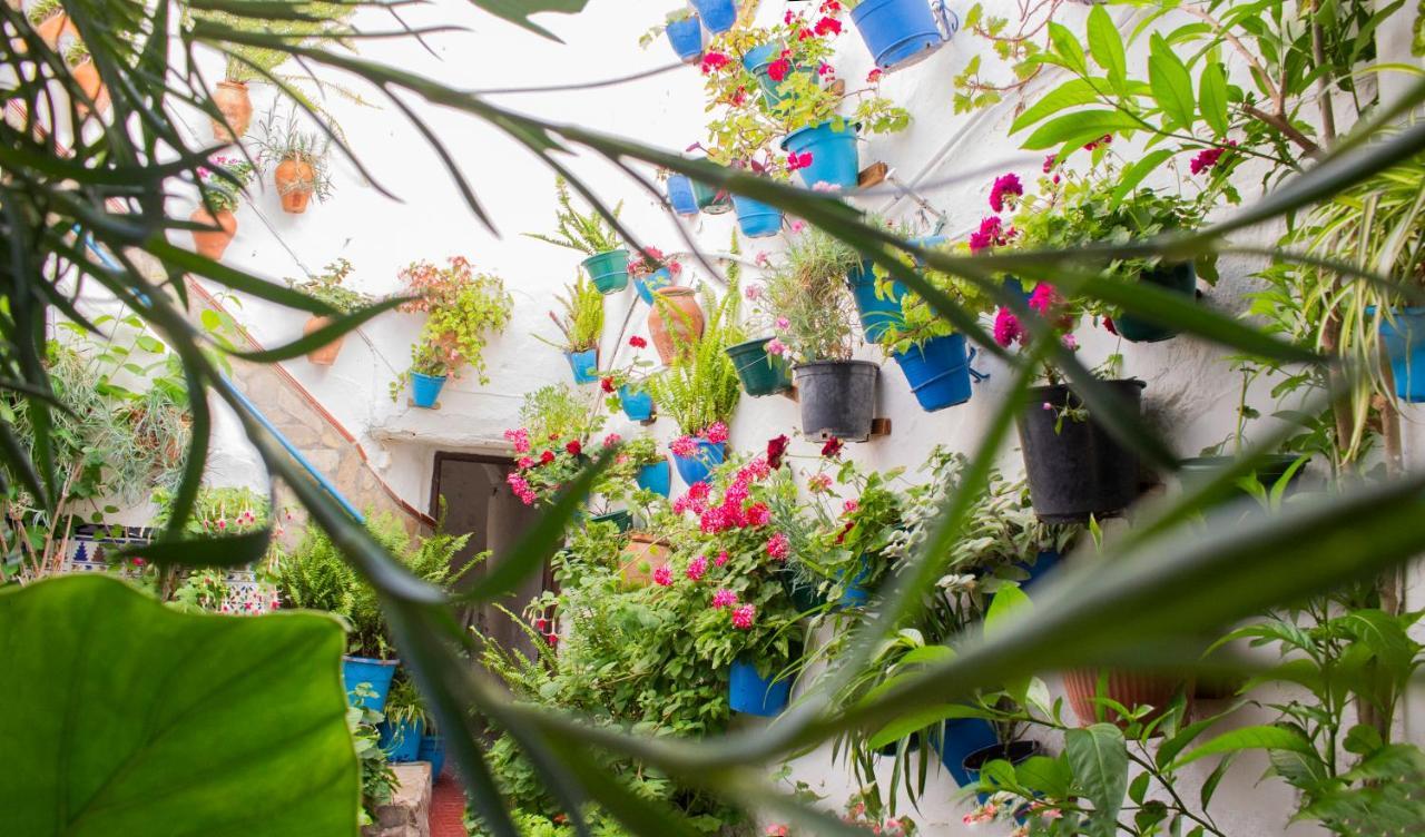 Casa Arco De La Pastora Lägenhet Medina-Sidonia Exteriör bild